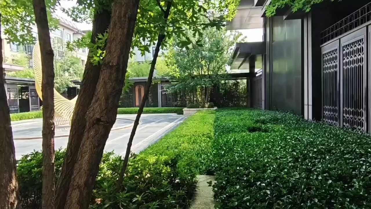 梧桐墅真不错